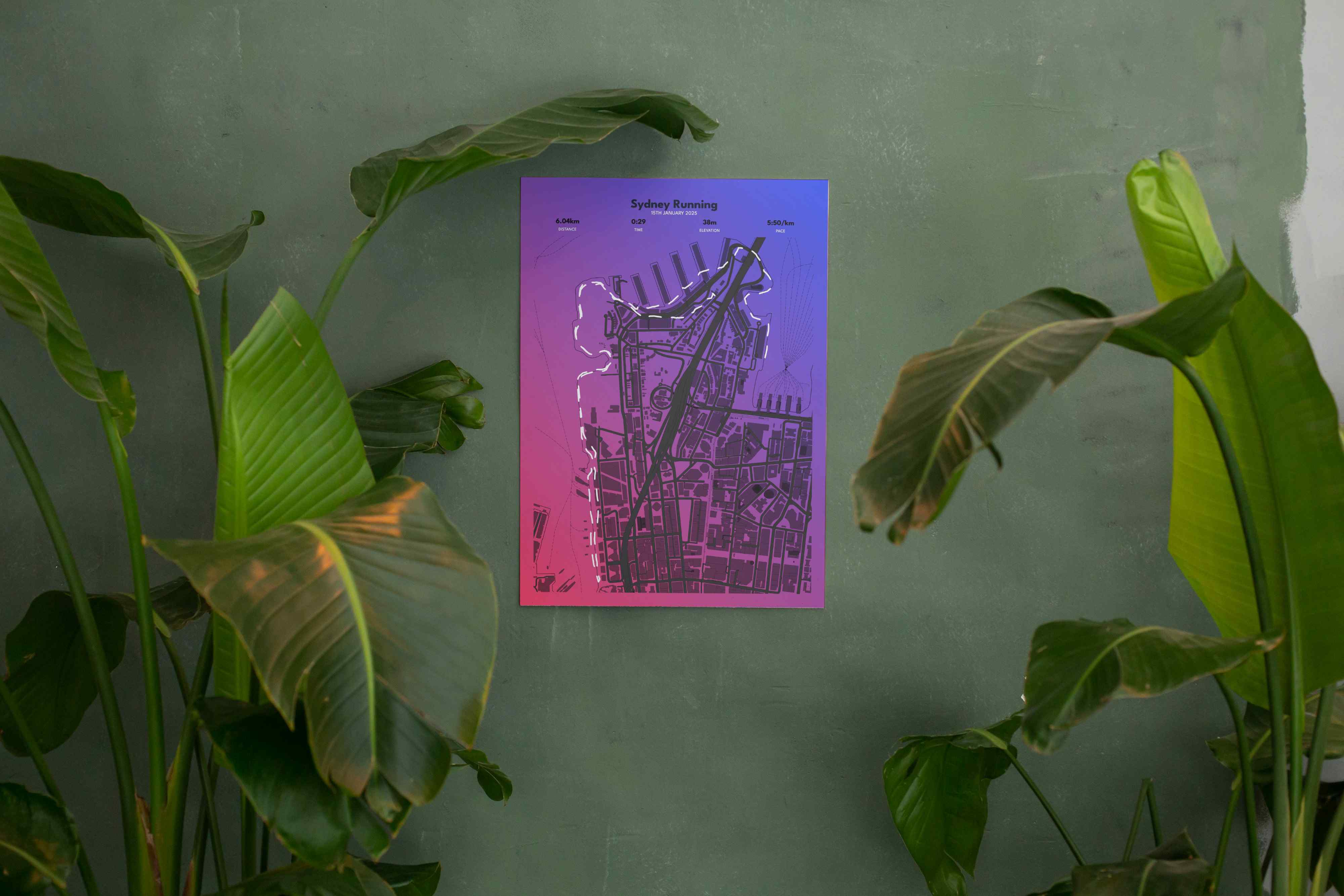 Sydney Running poster with purple gradient on sage wall